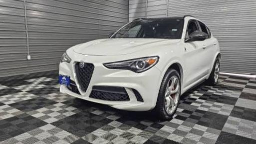 ALFA ROMEO STELVIO 2020 ZASPAKEVXL7C88401 image